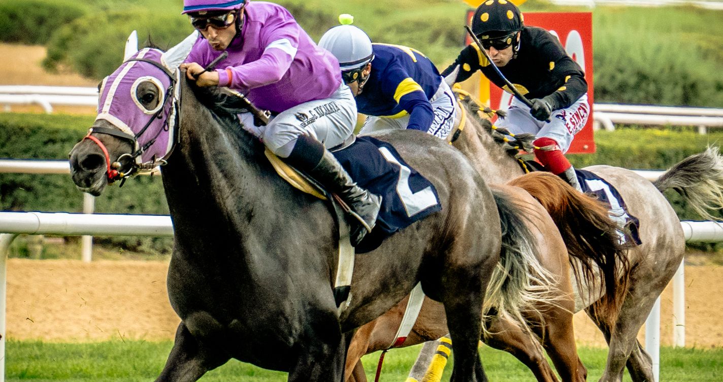 Arrivée serrée entre deux chevaux et leurs jockeys sur la ligne d'arrivée