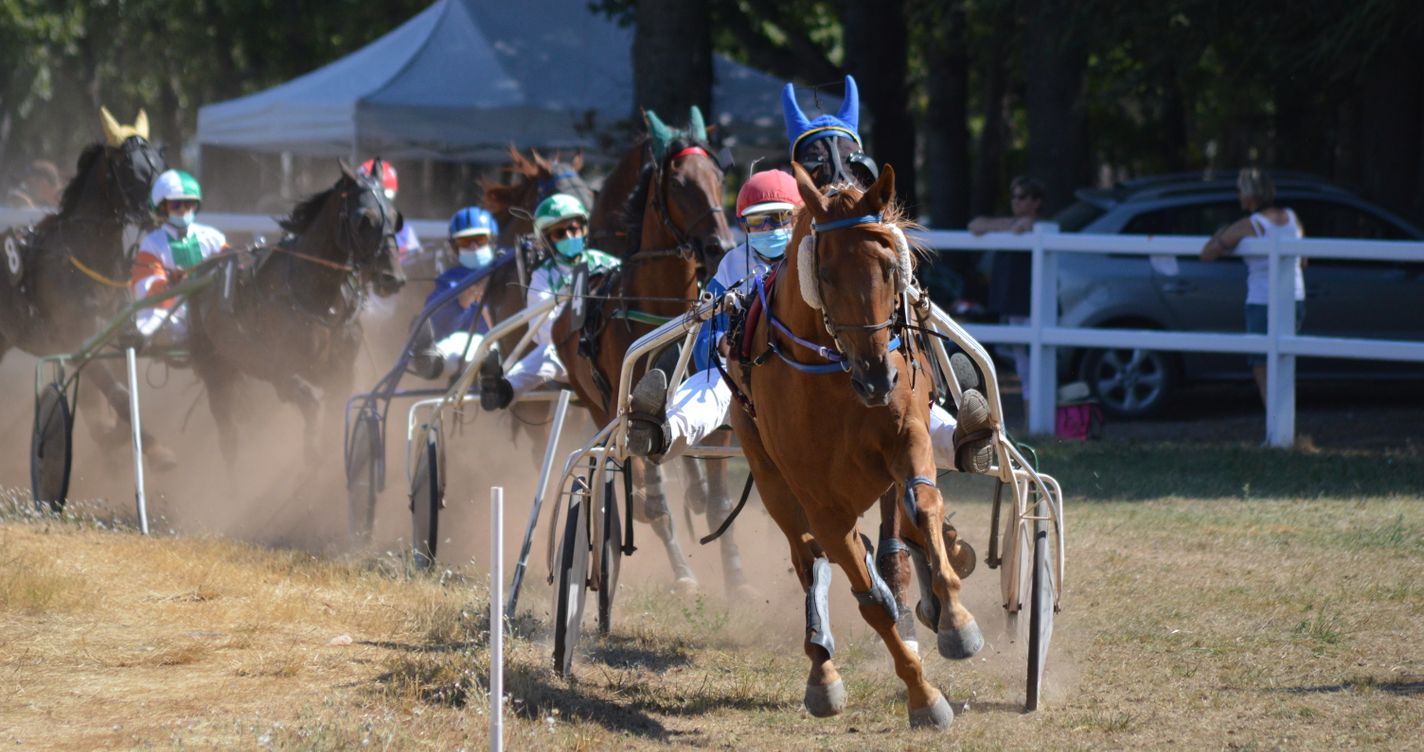 Attelage au trot, sulky et jockey en action, illustrant l'une des disciplines hippiques
