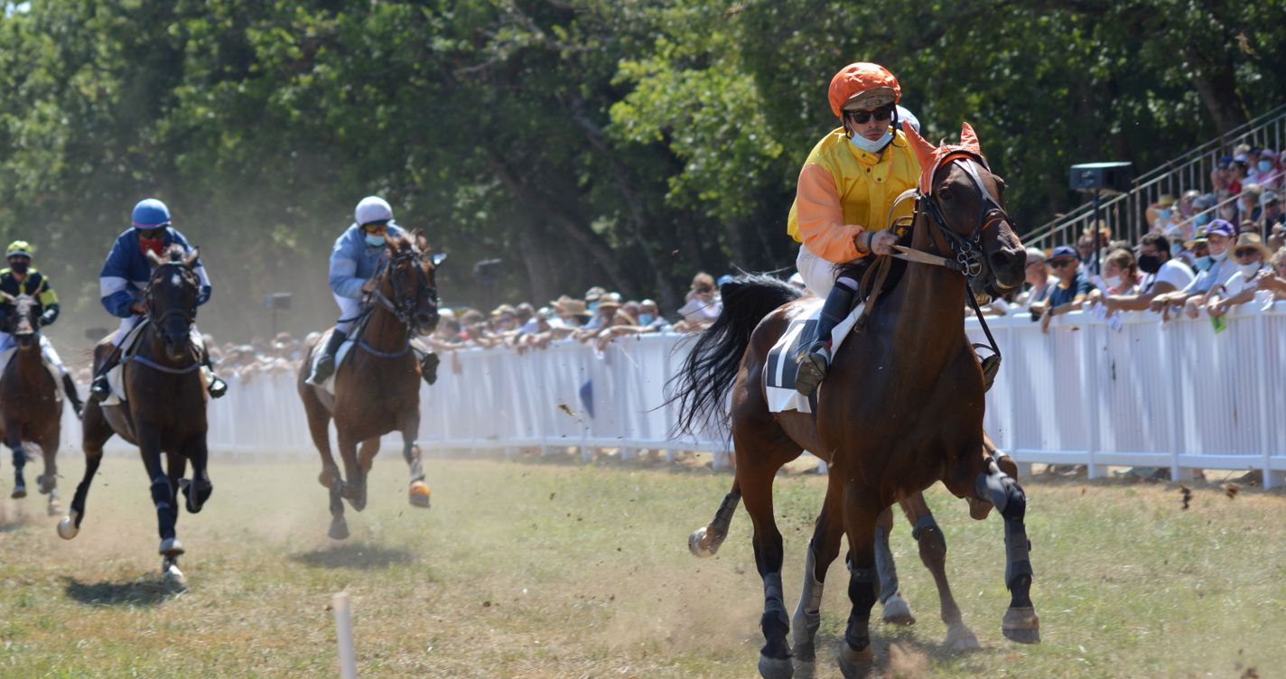Peloton de chevaux au galop soulevant la poussière, jockeys en casaques colorées