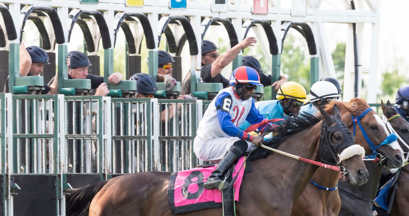 Grille de départ numérotée d'un hippodrome, chevaux et jockeys prêts à s'élancer