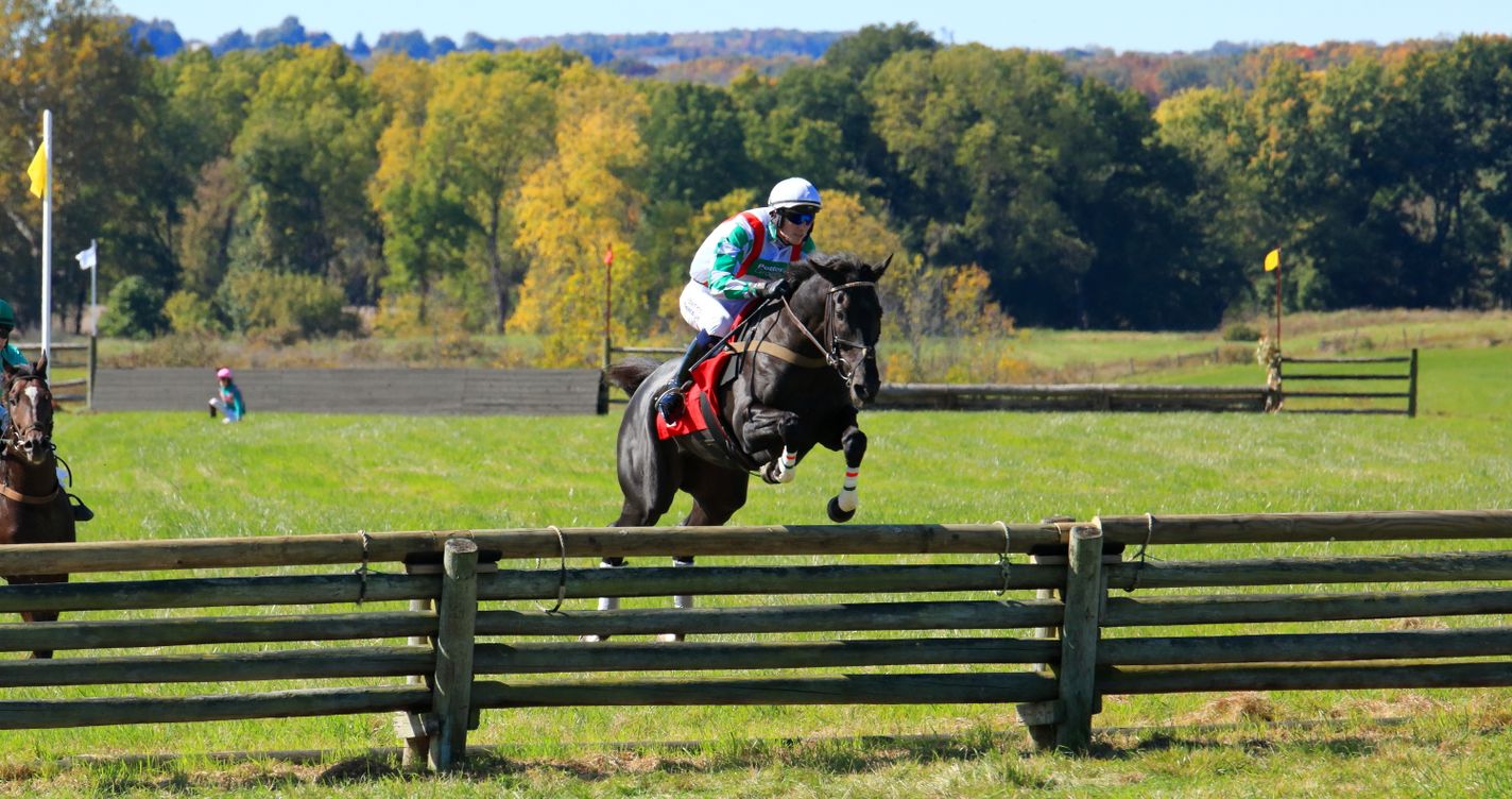 Cheval et jockey franchissant un obstacle lors d'une course de steeple-chase