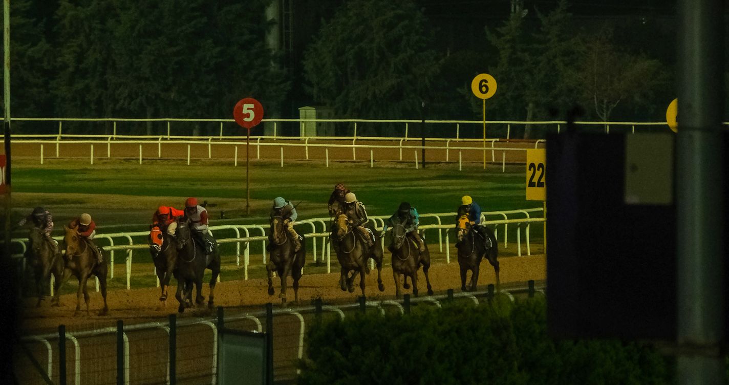 Tableau d'affichage lumineux des cotes et chronomètre sur un hippodrome de nuit